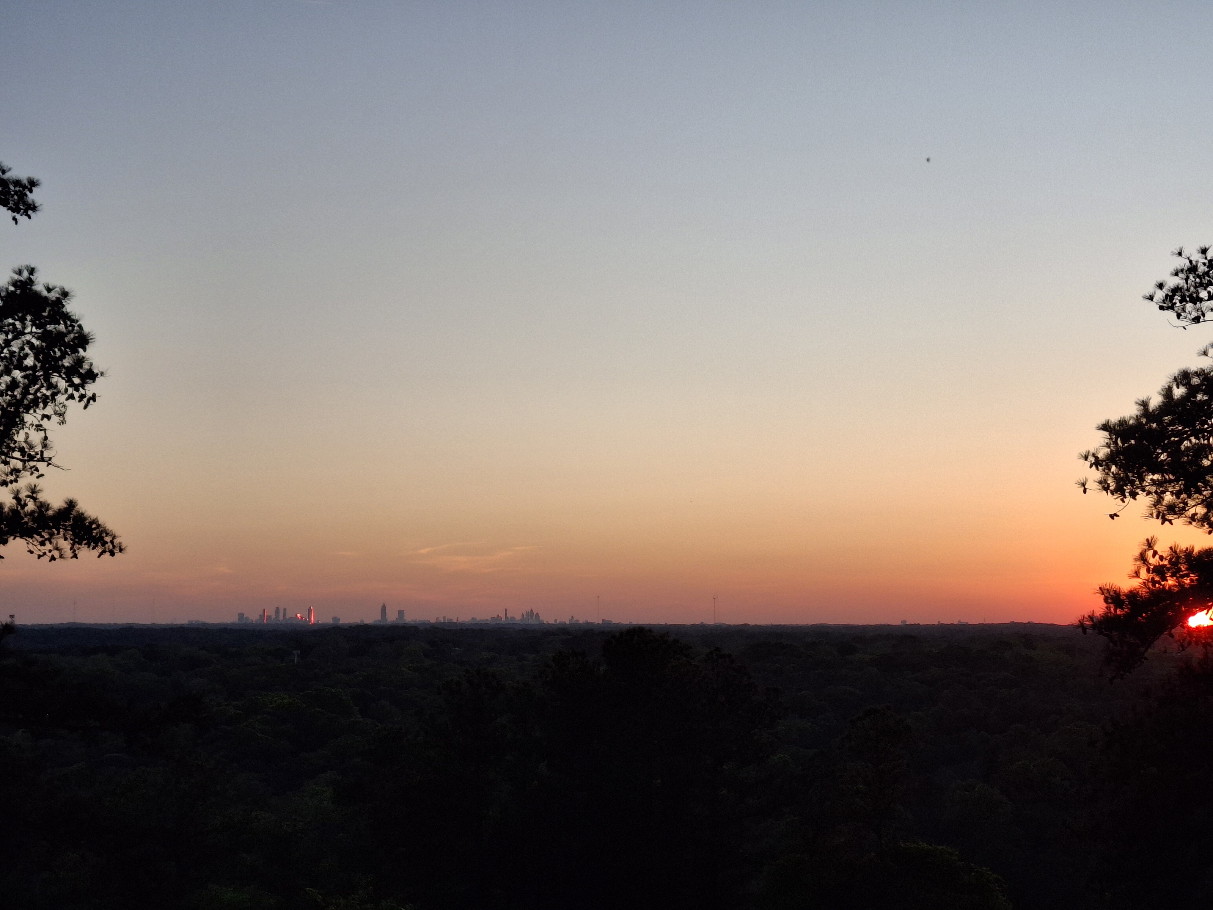 The Atlanta skyline at dusk framed by pine branches, distant towers small on the horizon.